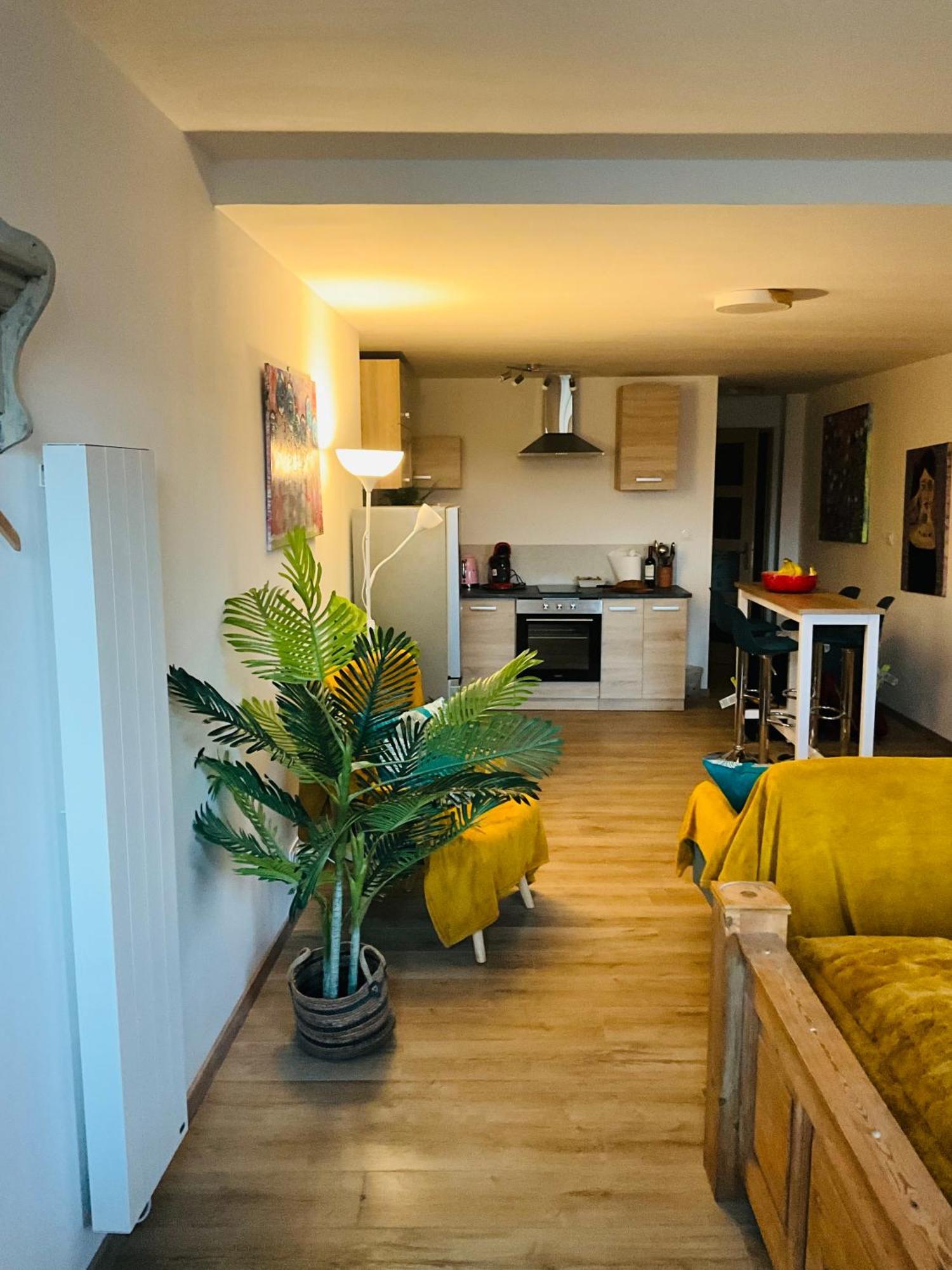 Hote Labyrinthe Lit 180 Cm Salle De Bain, Petit Dej Compris Mirepoix  Exterior photo